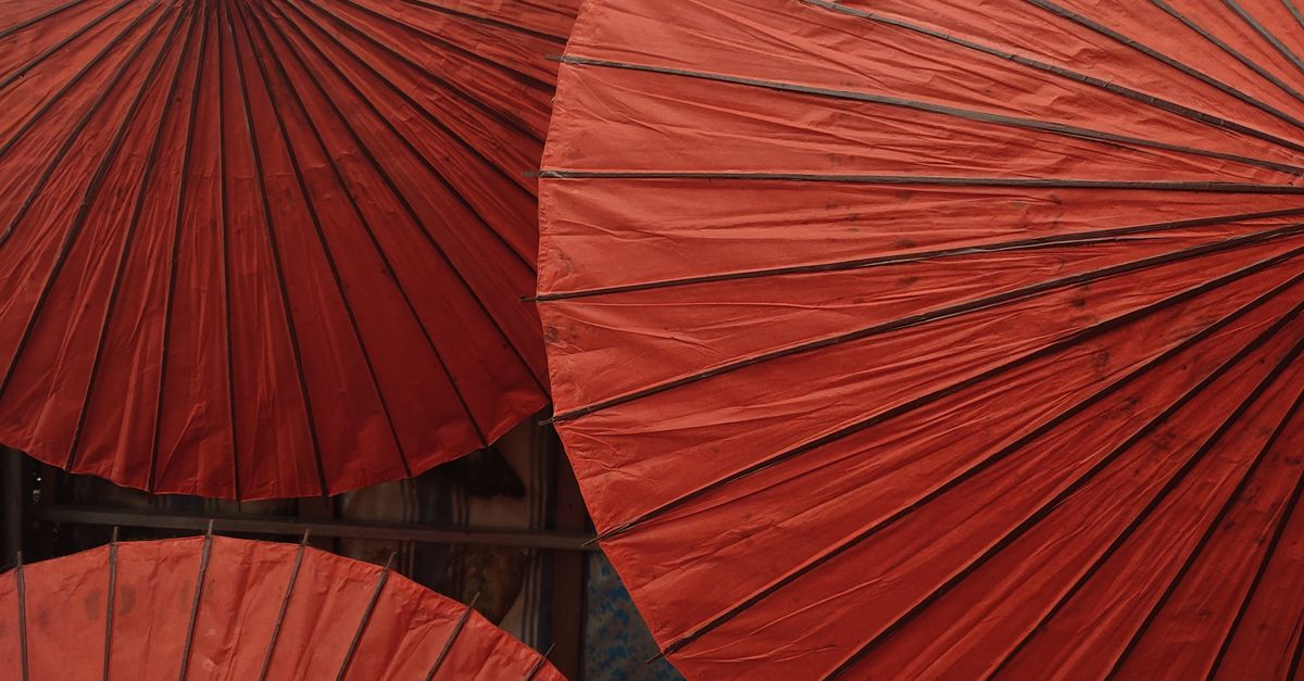 Red Color Shell Umbrella Close-up Photo of Red Umbrellas · Free Stock Photo