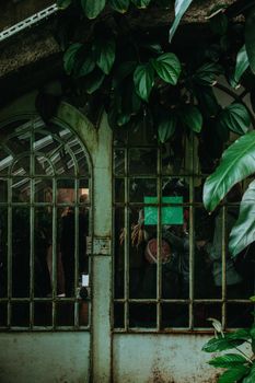 Black Metal Gate With Green Leaves
