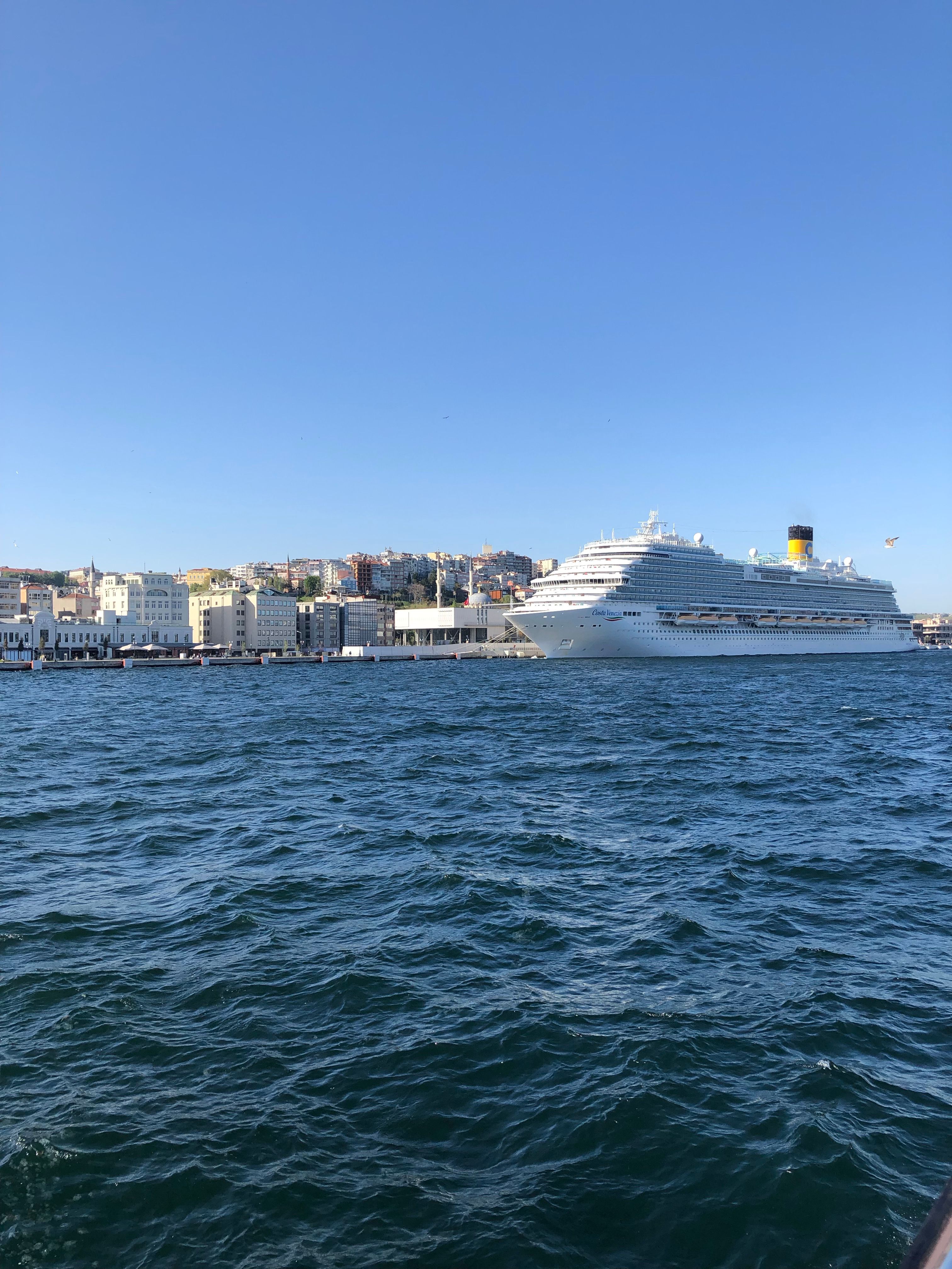 Elegant cruise ship docked under a clear blue sky with city waterfront in view.