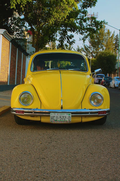 Fotobanka s bezplatnými fotkami na tému auto, automobil, classic-car