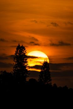 Dramatic sunset scene with silhouetted trees and vibrant orange sky.