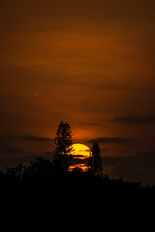 Free Photo of Sun Setting Stock Photo