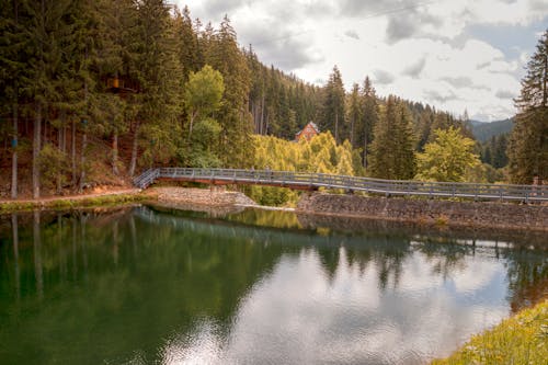 Corpo De água Verde Perto De árvores Durante O Dia