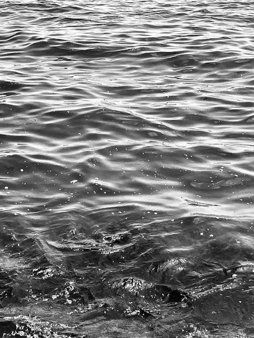 Grayscale Photo of Water