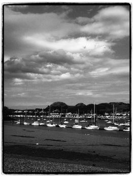 Sail Boats Docking in Marina at Ebb