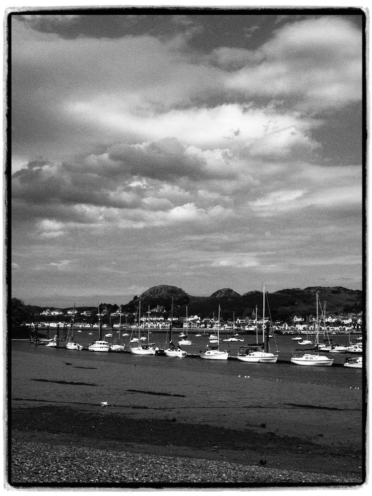 Sail Boats Docking In Marina At Ebb