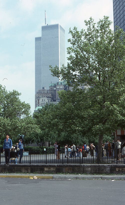 Crowd Gathering in Park