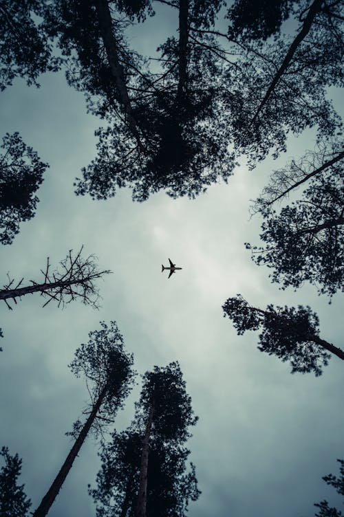 Imagine de stoc gratuită din aeronavă, avion, cer înnorat
