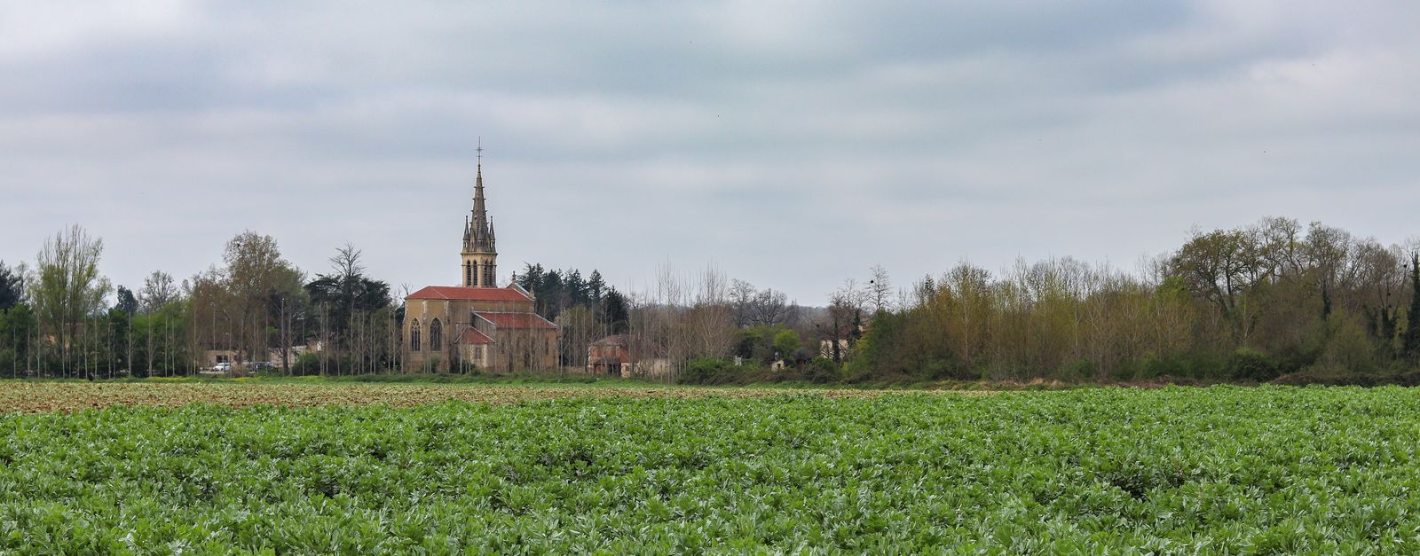 Peaceful church steeple surrounded by lush green fields in Saint-Michel, France.