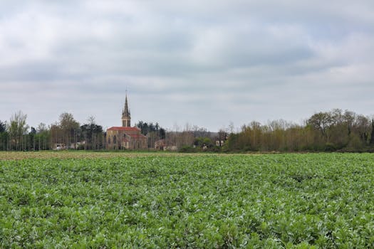 Saint-Julien-des-Landes