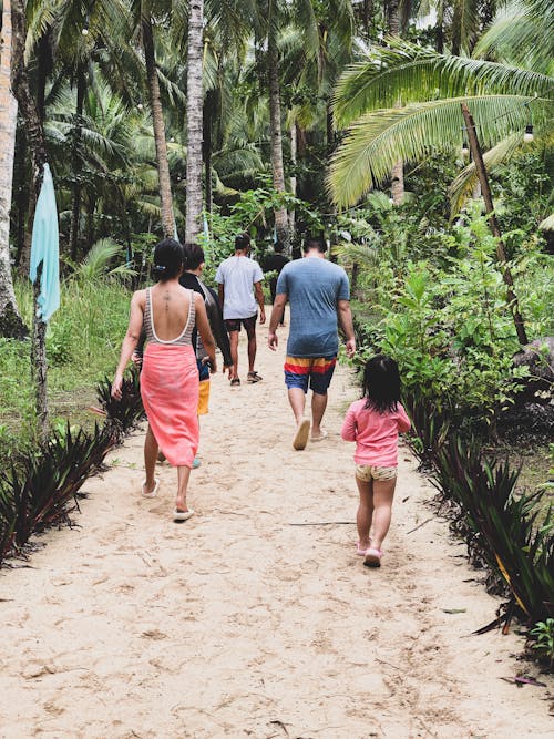 People Walking on a Path