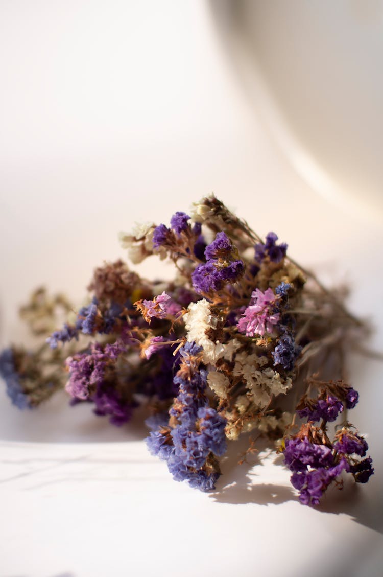 Close-up Photo Of Sea Lavender Flowers