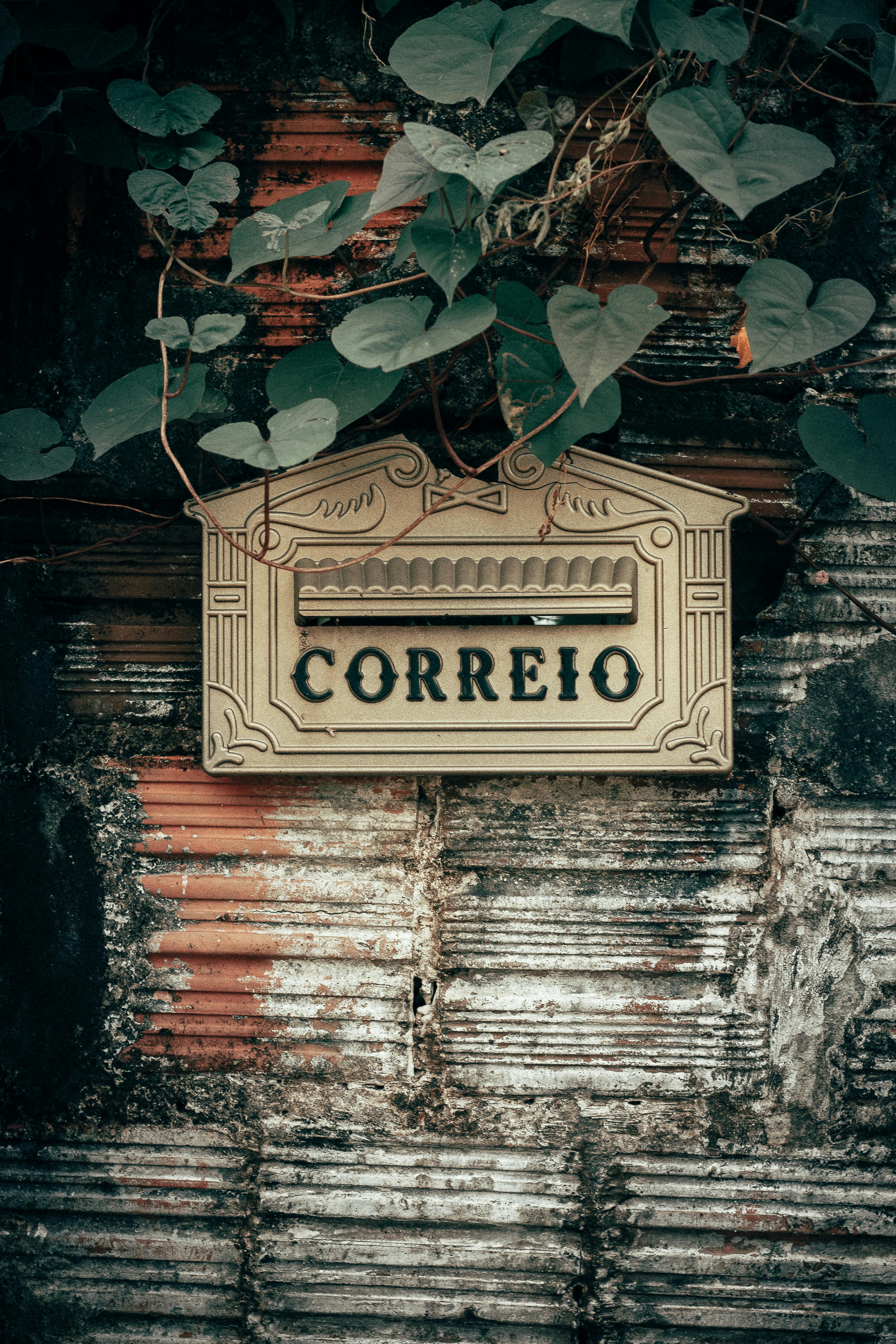 letterbox on a concrete wall