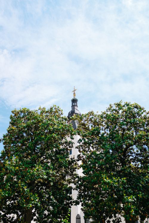 Free A church tower peeks through lush green trees under a bright blue sky. Stock Photo