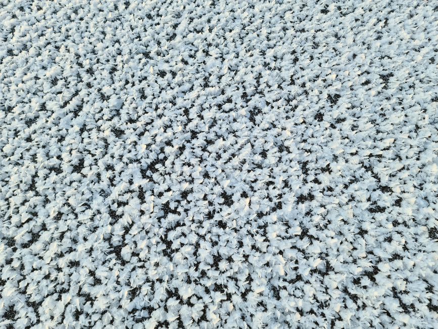 Close-up of a luxurious faux fur throw with intricate texture
