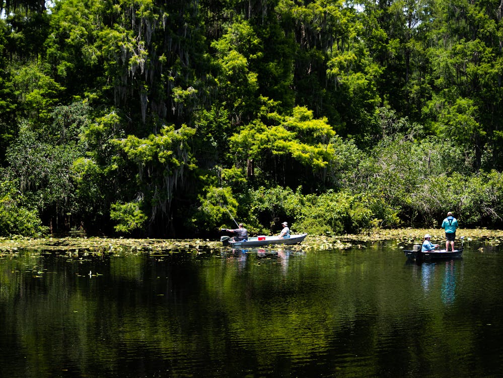 Foto profissional grátis de lago, pescaria, velejadores