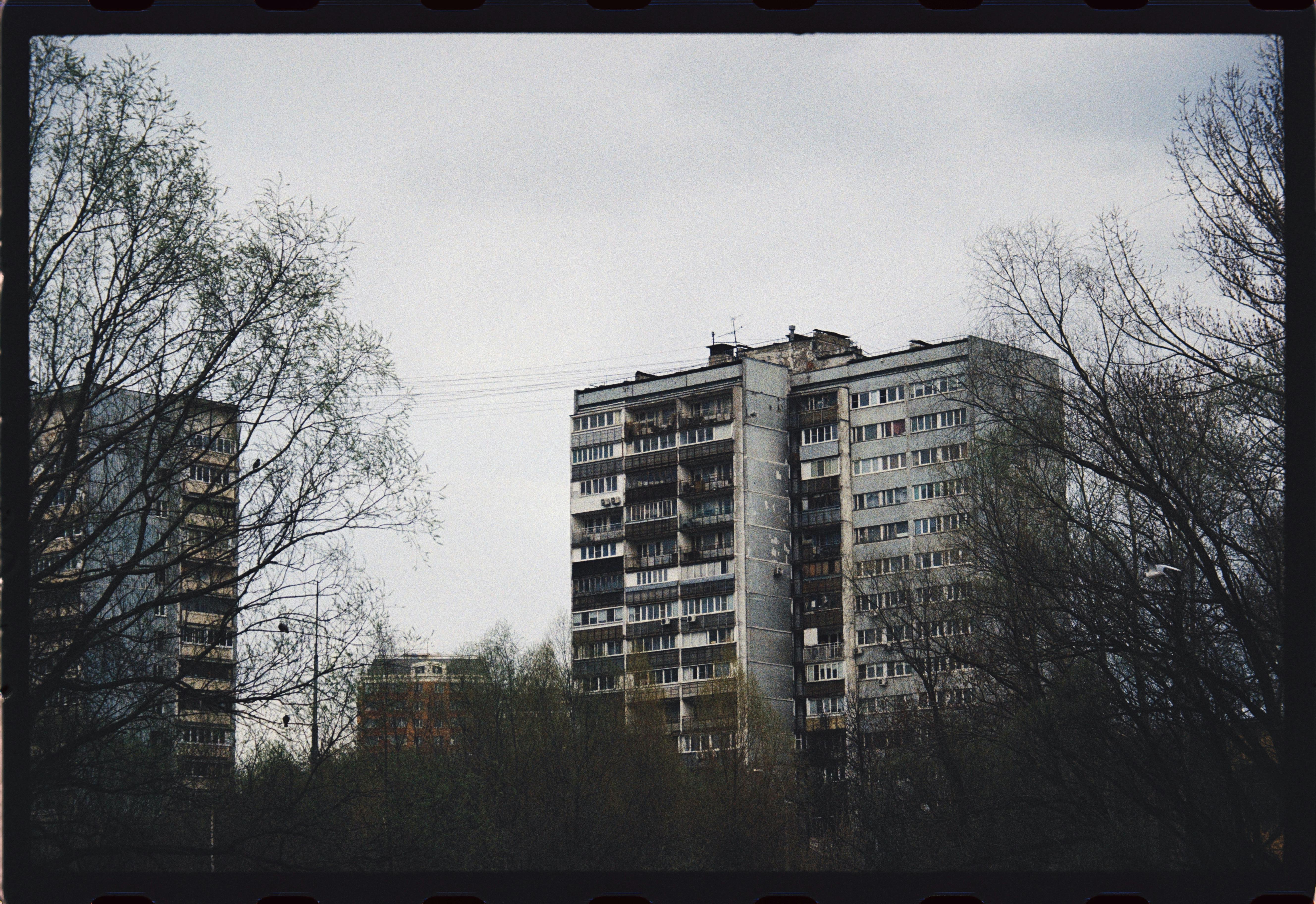 Does anything block sugar absorption?