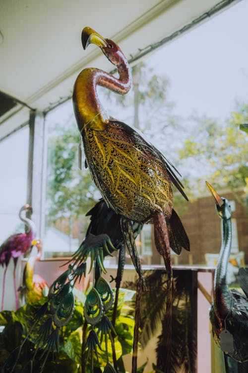 Darmowe zdjęcie z galerii z mały kąt, pelikan, pionowy strzał