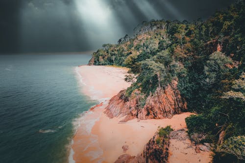 Sea and Beach with Forest on the Cliff on a Stormy Day 