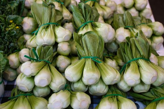 Shanghai Bok Choy