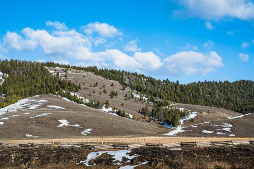 Free Scenic winter landscape in Stanley, Idaho, featuring snow-dusted hills and evergreen trees under a bright blue sky. Stock Photo