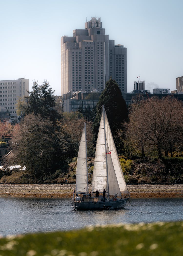 A Sailboat Floating On A River Near Brown Trees In The City