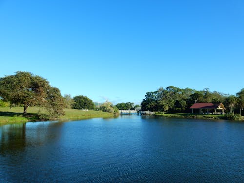 Kostenloses Stock Foto zu blauen himmel, florida, grüne bäume