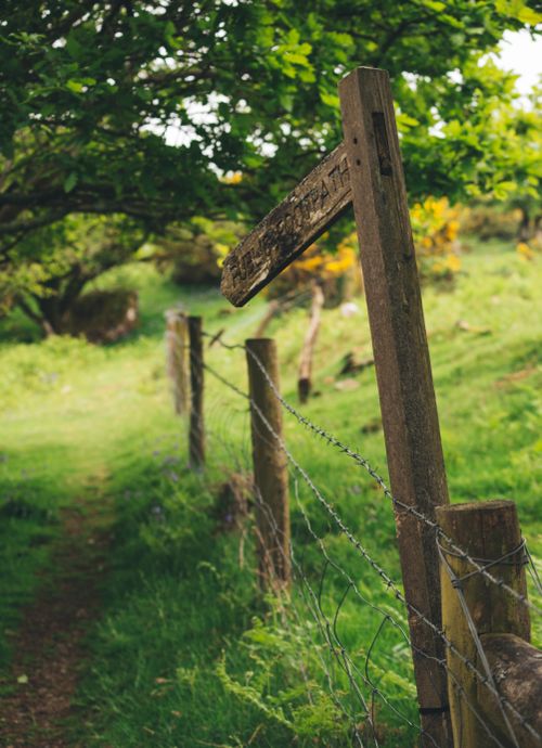 Free Idyllic rural path with a crooked wooden signpost and barbed wire fence. Stock Photo