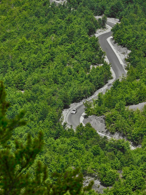 A Car on a Curvy Road Between Green Trees