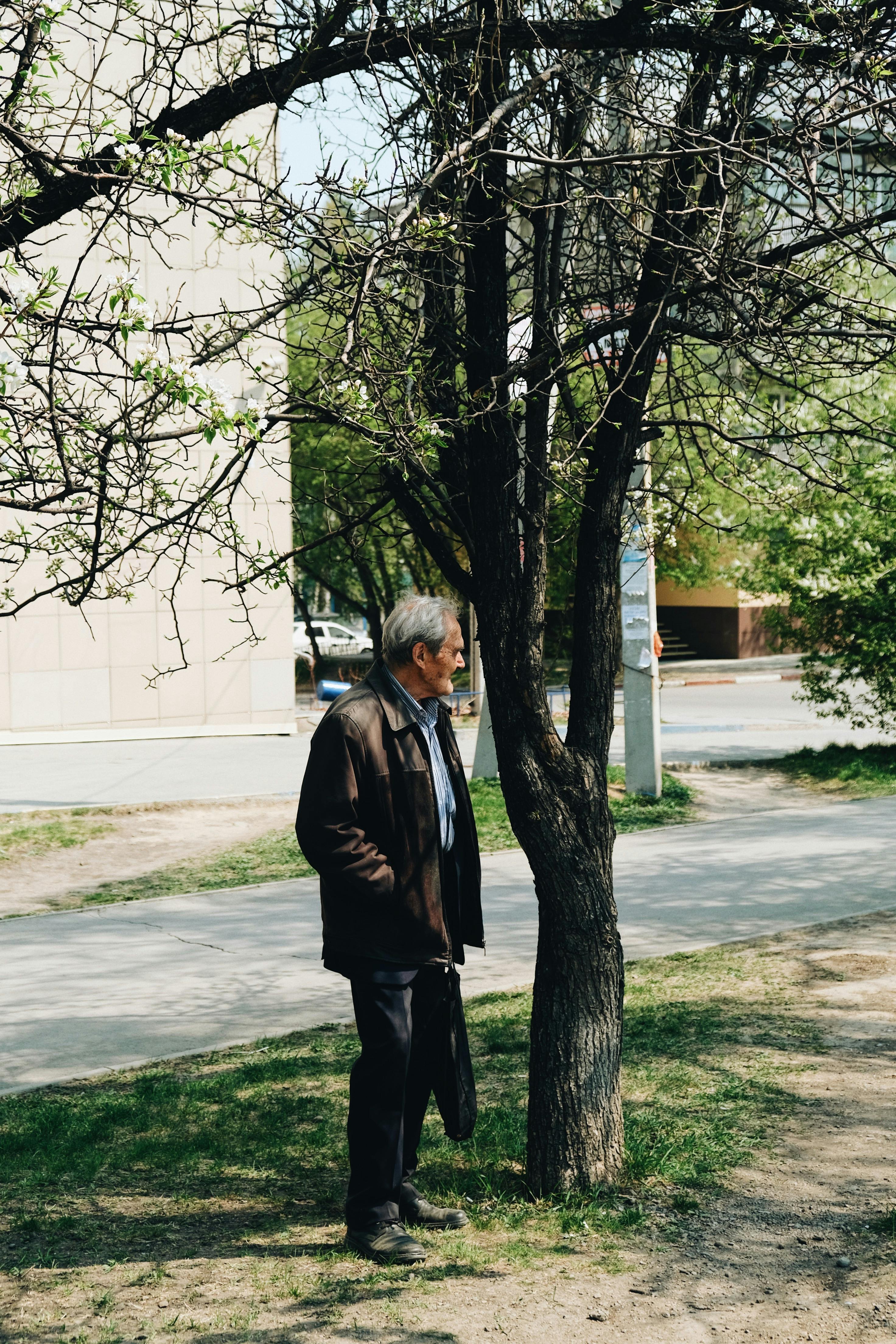 An elderly man stands under a tree with budding leaves on a sunny day, reflecting tranquility.