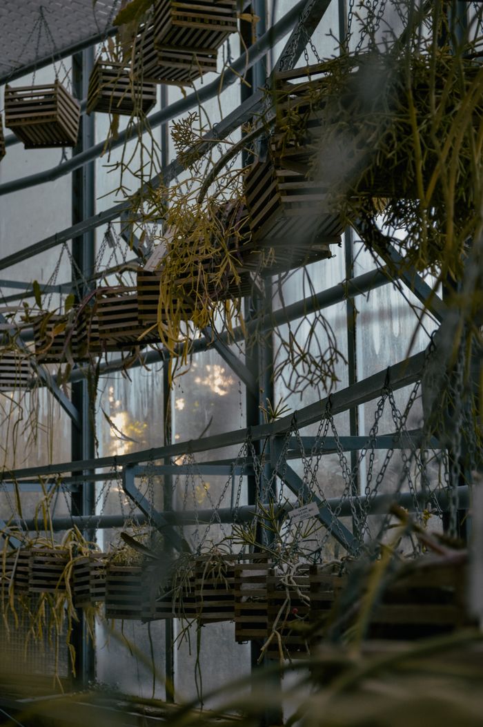Vertical shot of a modern greenhouse with hanging plants and crates — Neda Kekil on Pexels