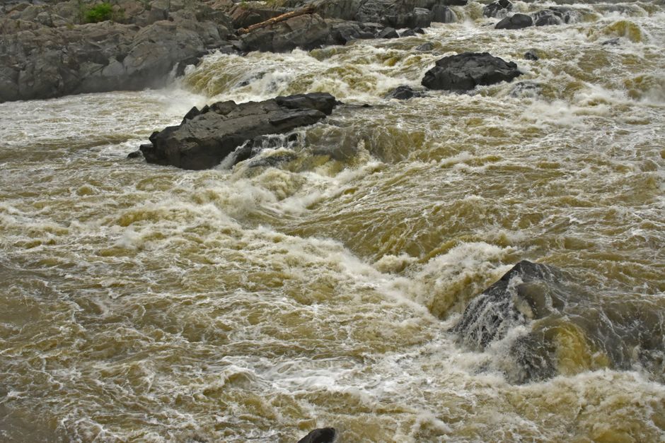 Potomac River at Great Falls things to do in mclean va
