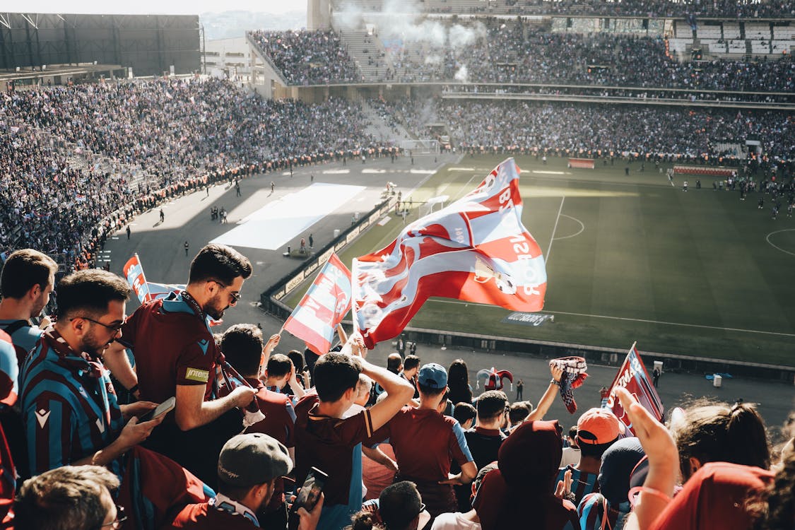 soccer fans in stadium celebrating