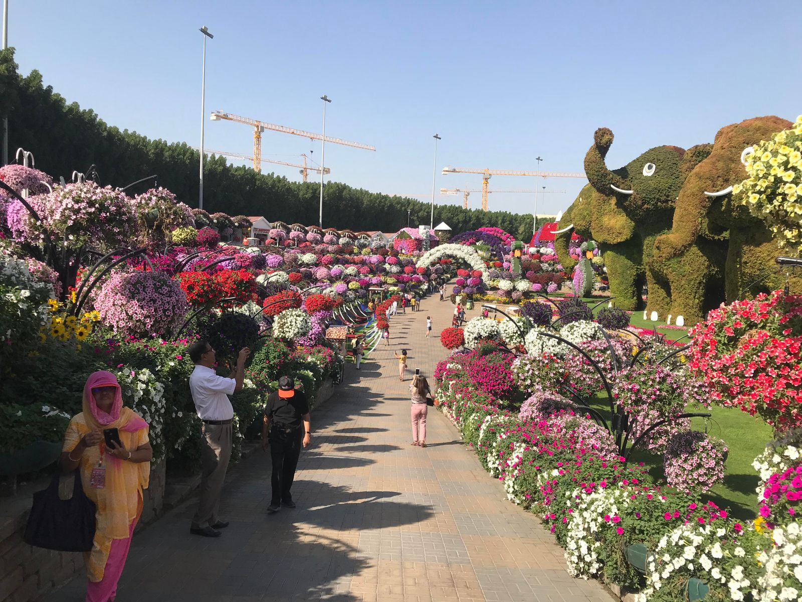 A tiled walkway framed by hanging flower baskets leads toward giant elephant topiaries at Dubai Miracle Garden.