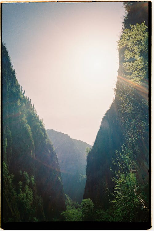Kostnadsfria Kostnadsfri bild av berg, blad, dal Stock foto