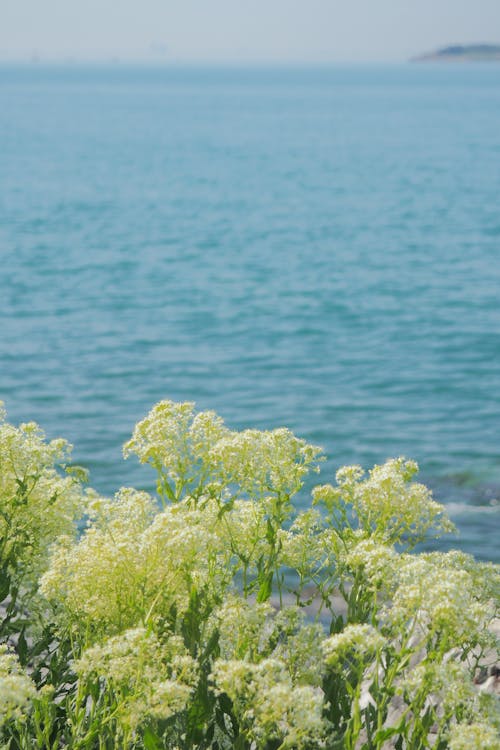 Бесплатное стоковое фото с горизонт, море, морской пейзаж