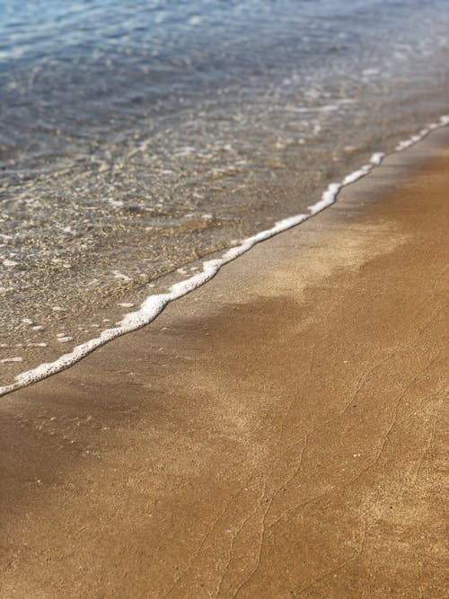 Sea Waves Crashing on Shore