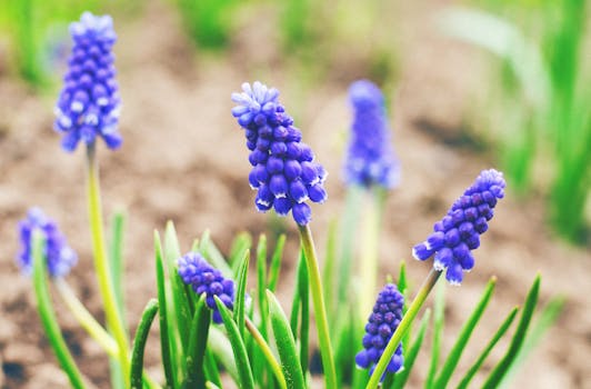 Image by Tamara Elnova