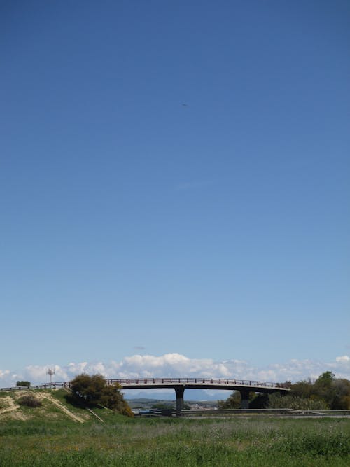 Bridge and Grass Field under Clear Blue Sky 