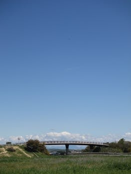 Tranquil scene of a bridge over lush greenery with a cloudless sky.