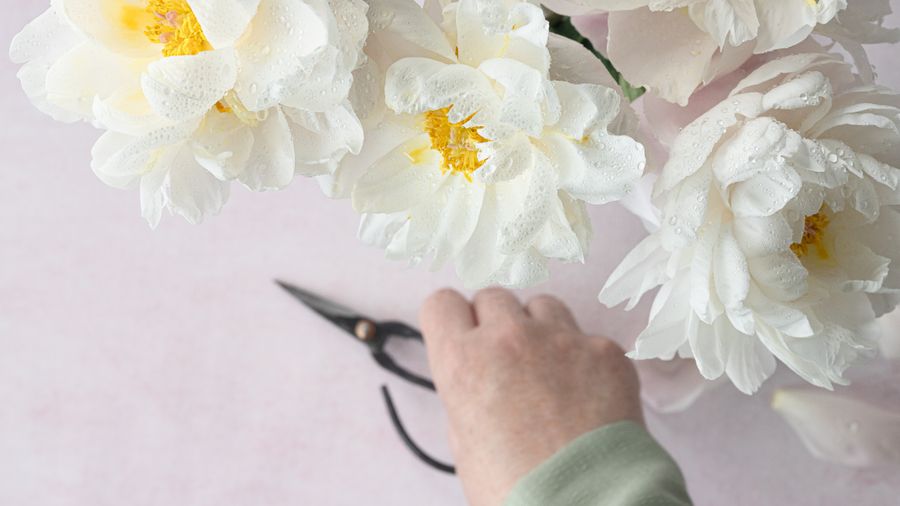 Simple Changes to Make Your Home Greener and Cut Your Bills