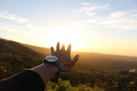 一只手伸向加里曼丹中部，那里郁郁葱葱的风景上正升起充满活力的日出