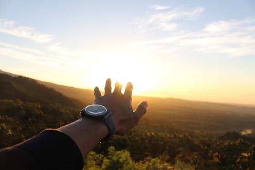 一只手伸向加里曼丹中部，那里郁郁葱葱的风景上正升起充满活力的日出