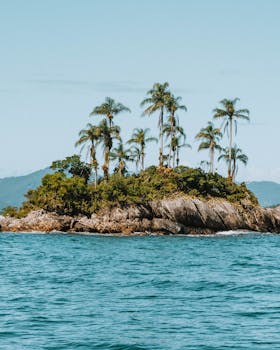 Explore a picturesque tropical island with lush palm trees and rocky shore, set against a vibrant blue ocean.