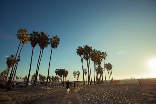 Free stock photo of beach, golden sun Stock Photo