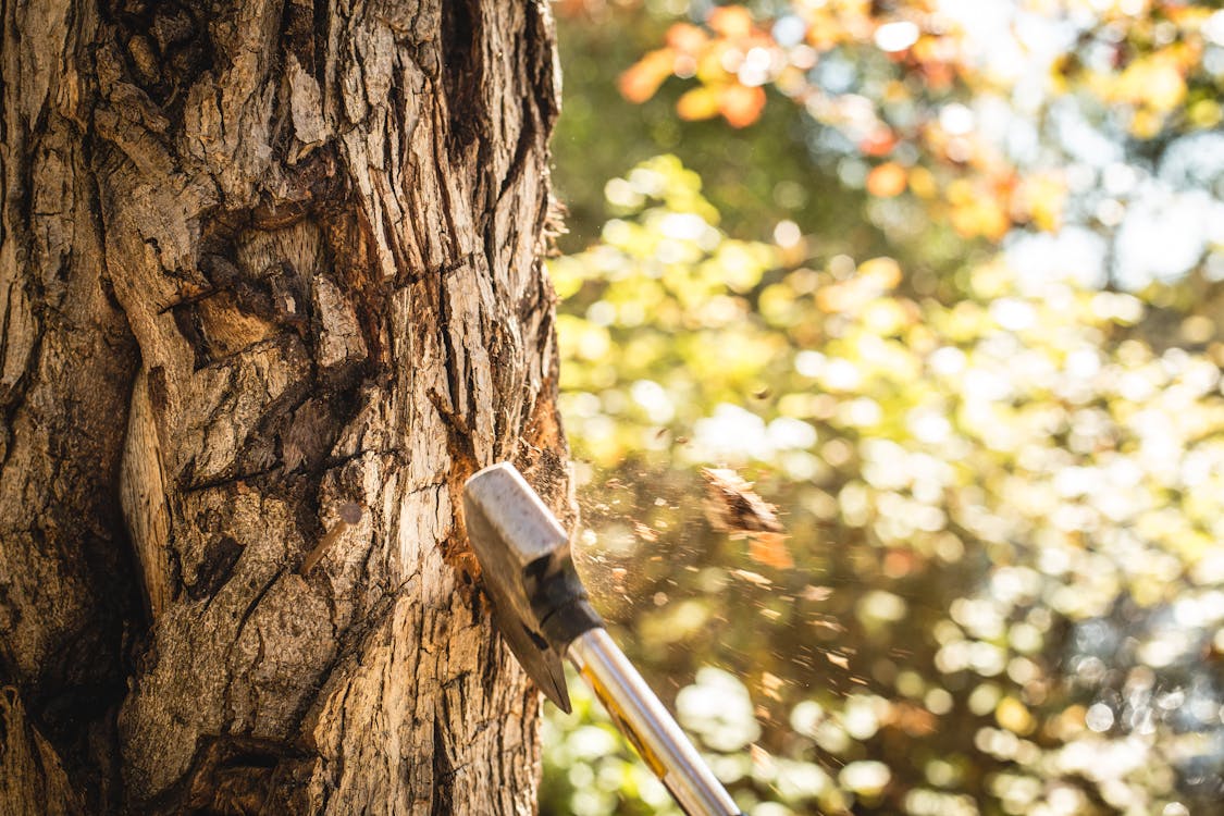 Free Time Lapse Photography of Axe Hitting Wood Trunk Stock Photo