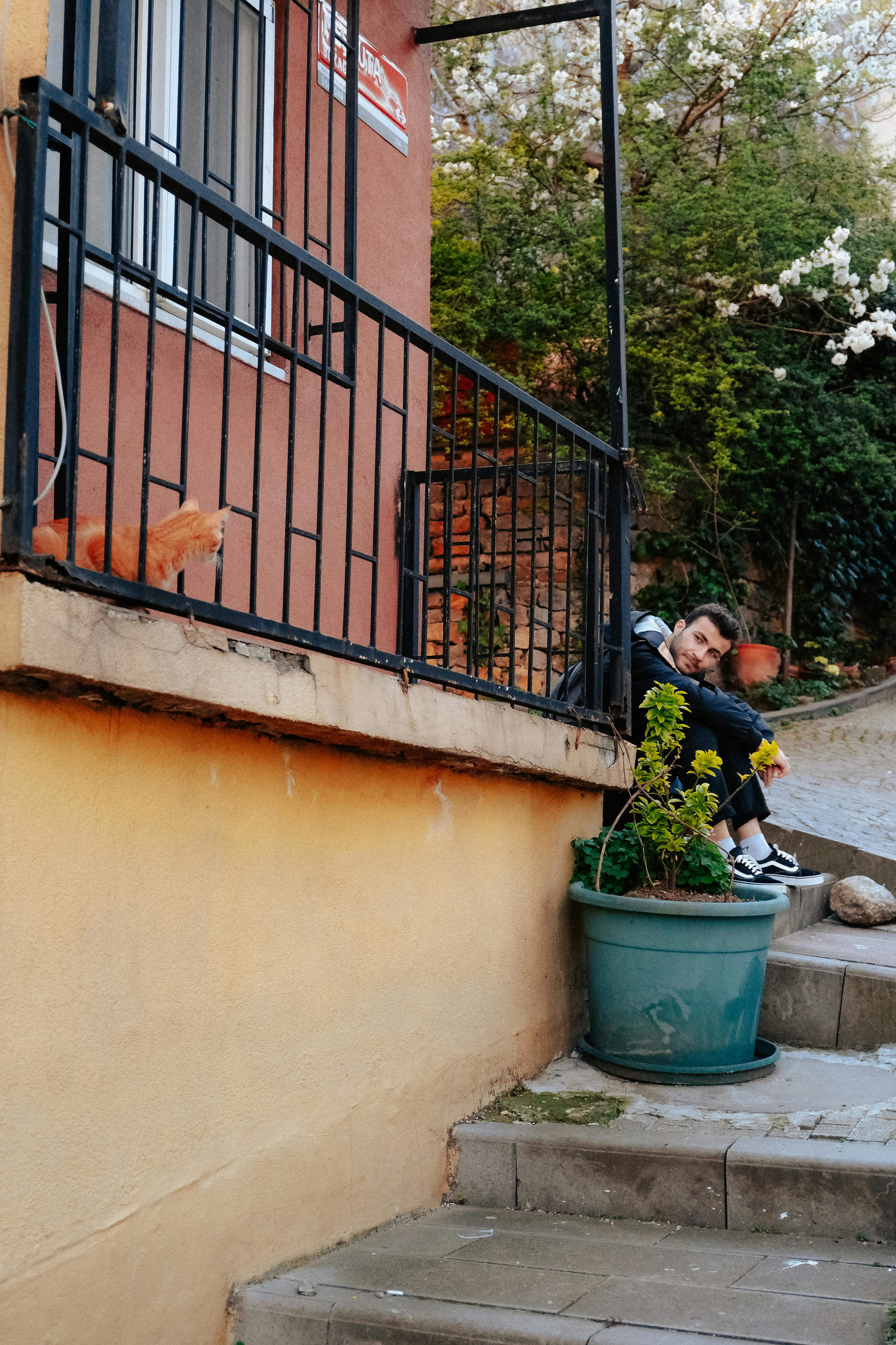 Free A man sits on outdoor stairs next to a potted plant, near a metal railing. Stock Photo