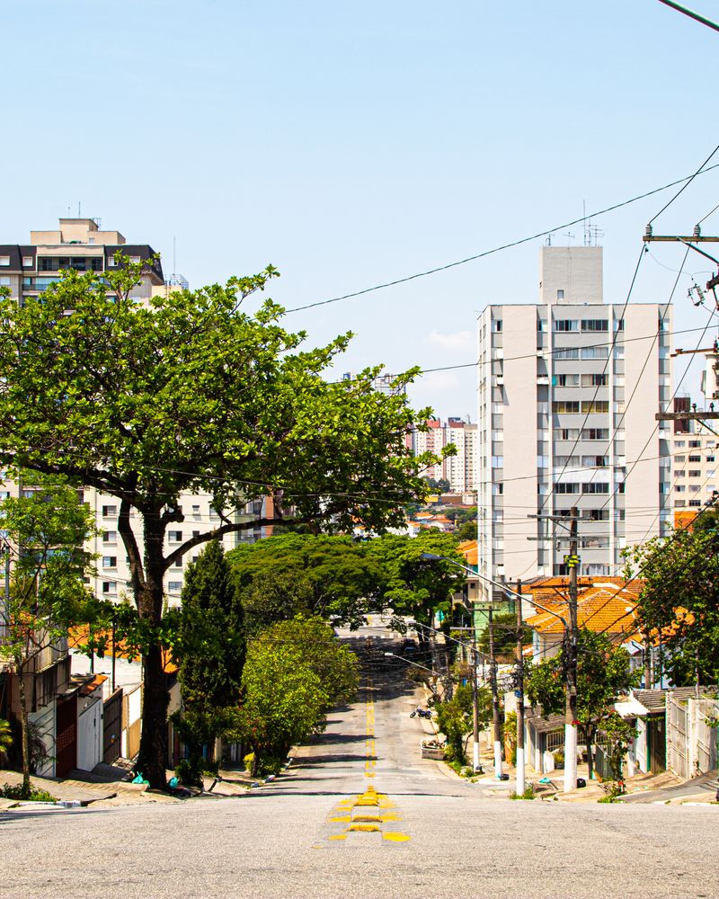 Rua residencial planejada e arborizada no bairro Parque do Sol em Guaratinguetá