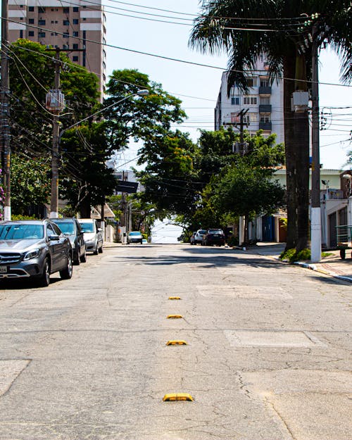 Cars Parked on the Street Near Green Trees