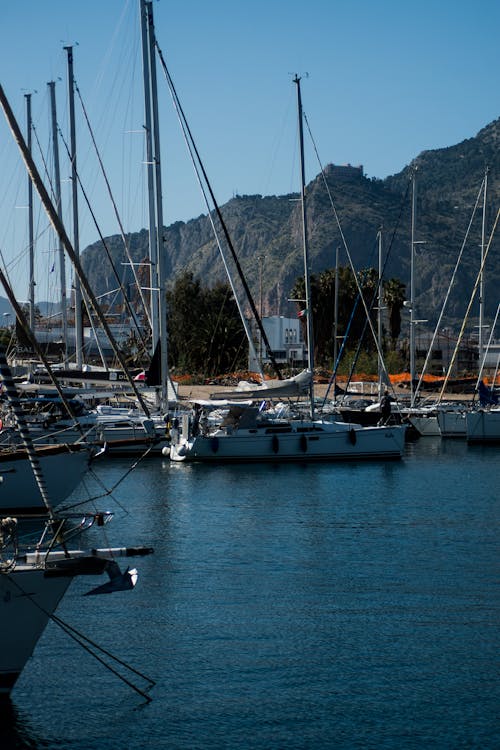 Ships in the Harbor 